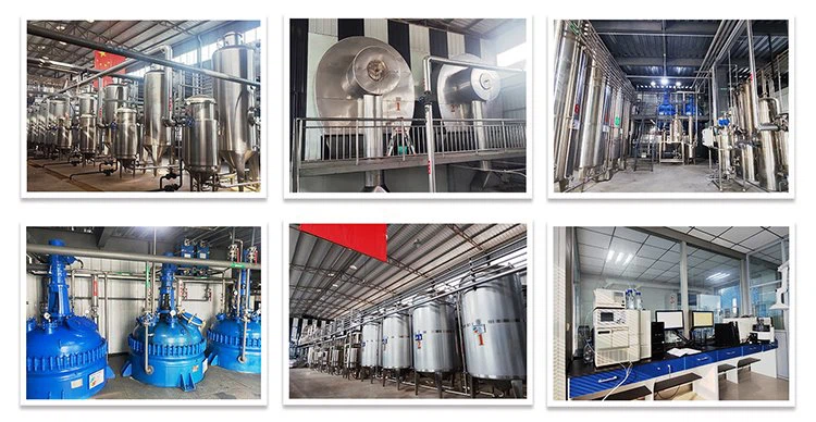 Our Factory and Equipment