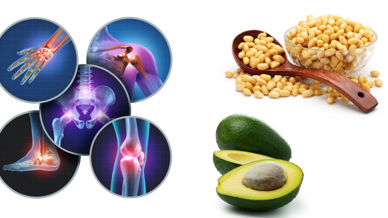 ASU Avocado Soybean Unsaponifiable For Joint Health ASU Avocado Soybean Unsaponifiable For Joint Health
