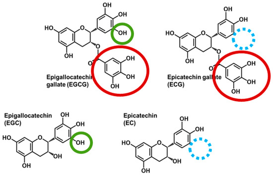Comparative Antioxidant Potency of EGCG, EGC, and ECG Comparative Antioxidant Potency of EGCG, EGC, and ECG