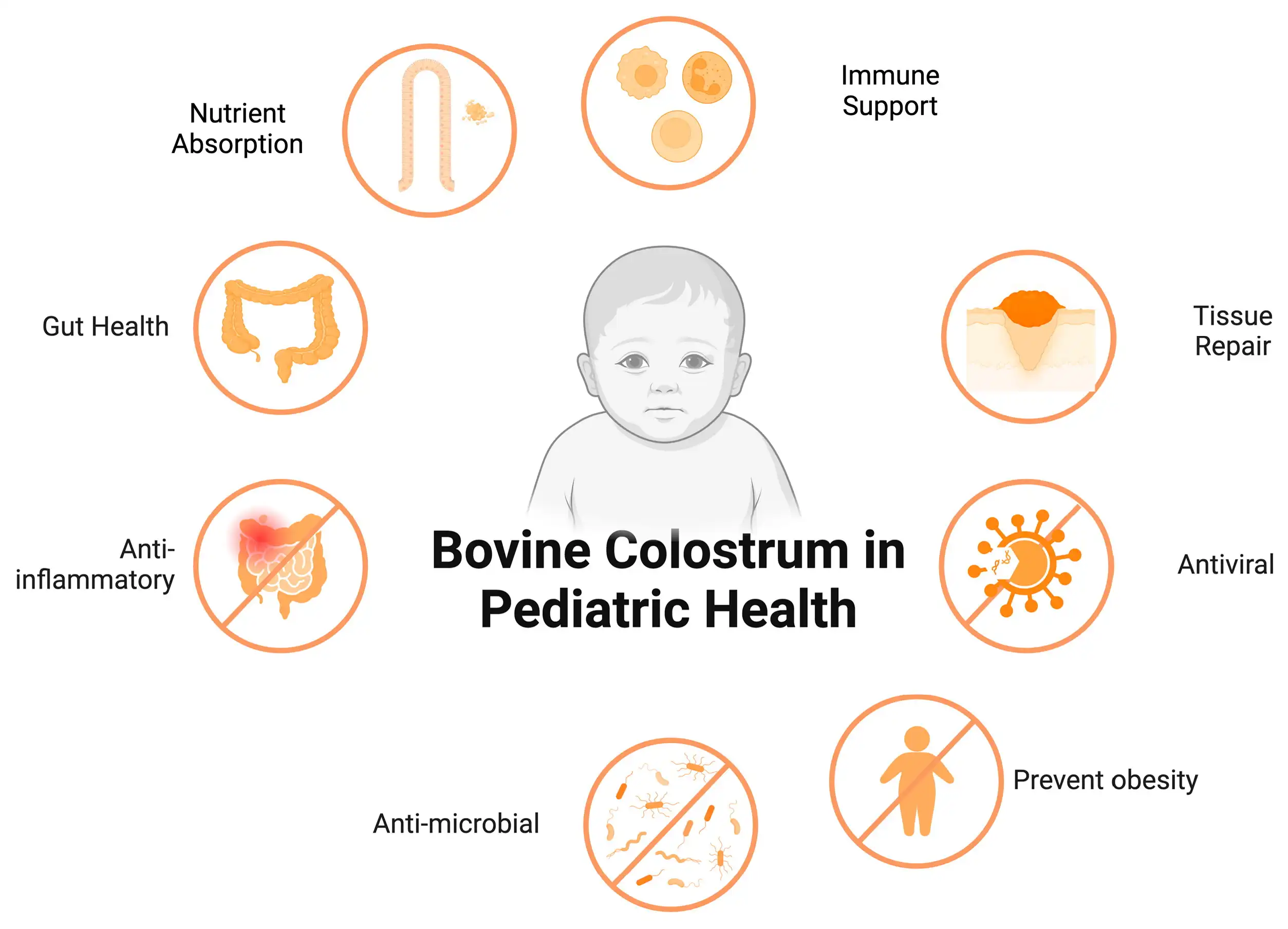 bovine colostrum benefits bovine colostrum benefits
