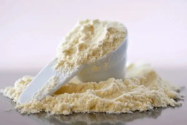 Bovine colostrum powder