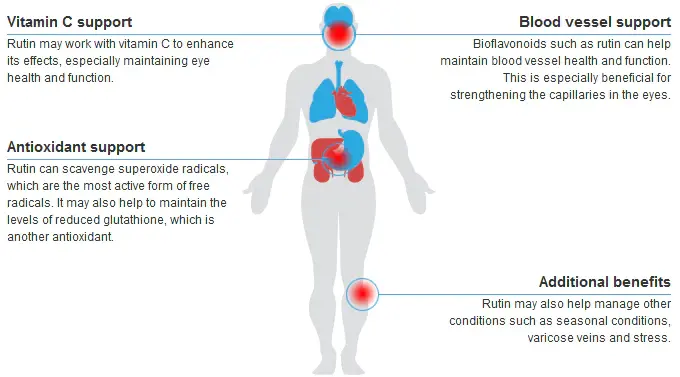 Rutin benefits 