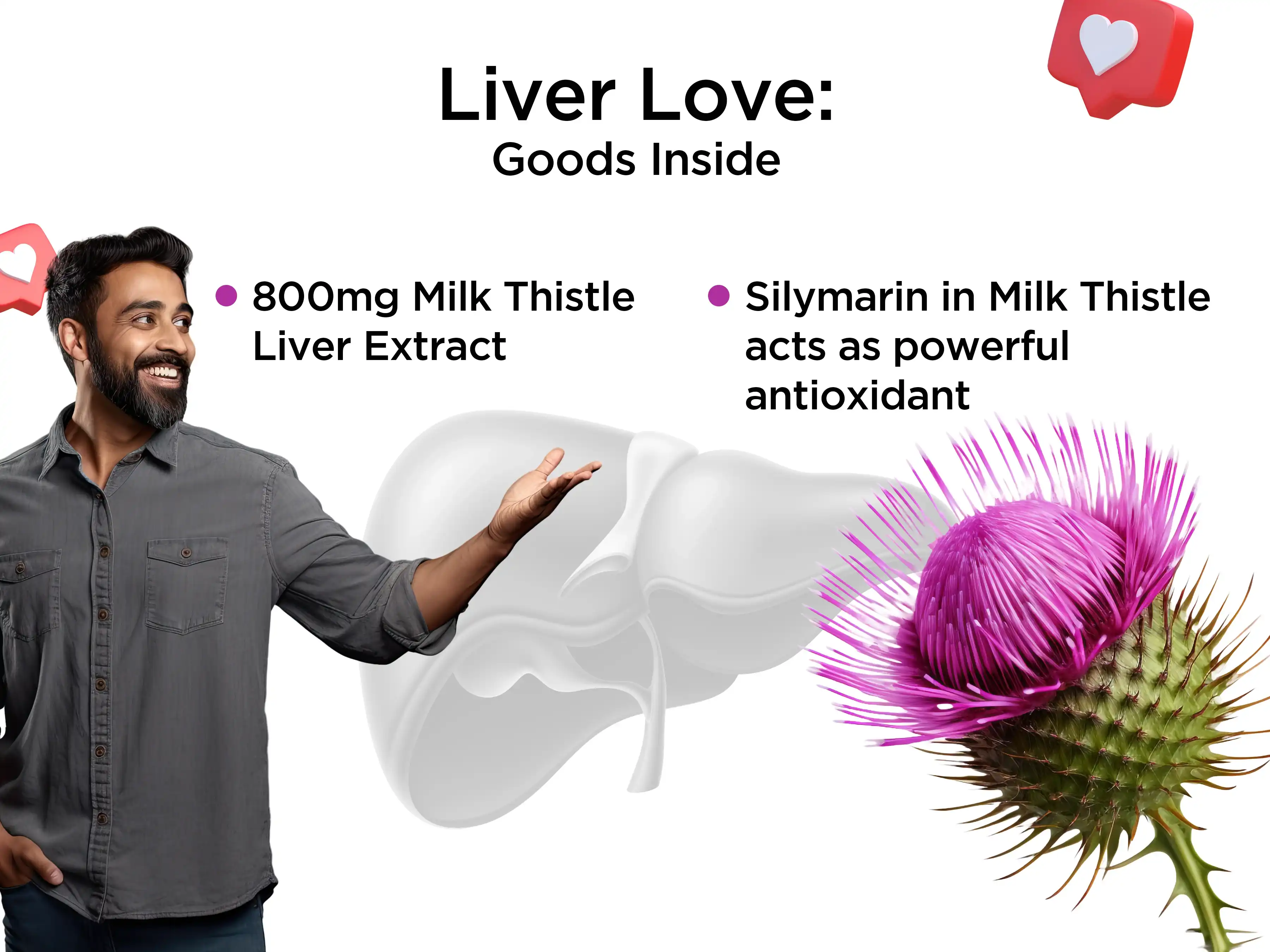 Milk Thistle Extract Powder in Liver Health