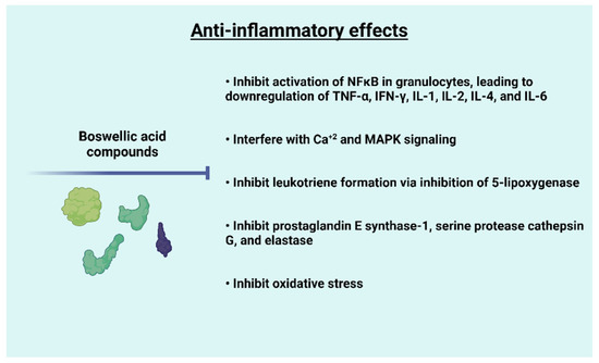 Boswellia Serrata Extract Powder's Anti-Inflammatory Boswellia Serrata Extract Powder's Anti-Inflammatory