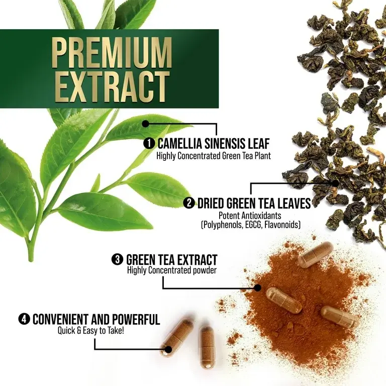 Green tea extract polyphenols Green tea extract polyphenols