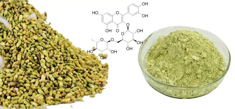 rutin extract supplier rutin extract supplier