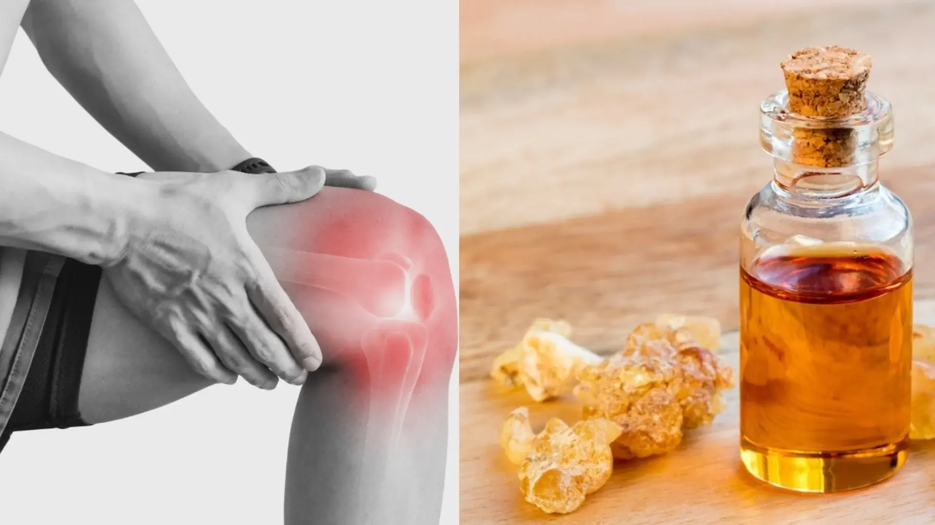 Boswellia Serrata Extract Powder For Joint Boswellia Serrata Extract Powder For Joint