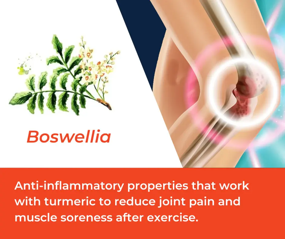 Boswellia extract reduce inflammation Boswellia extract reduce inflammation