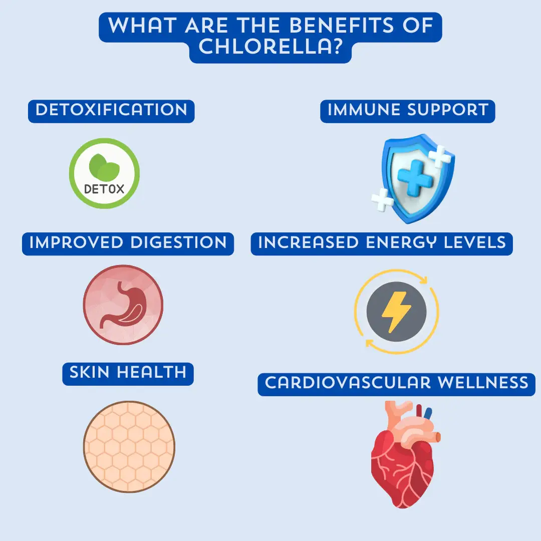 chlorella benefits 