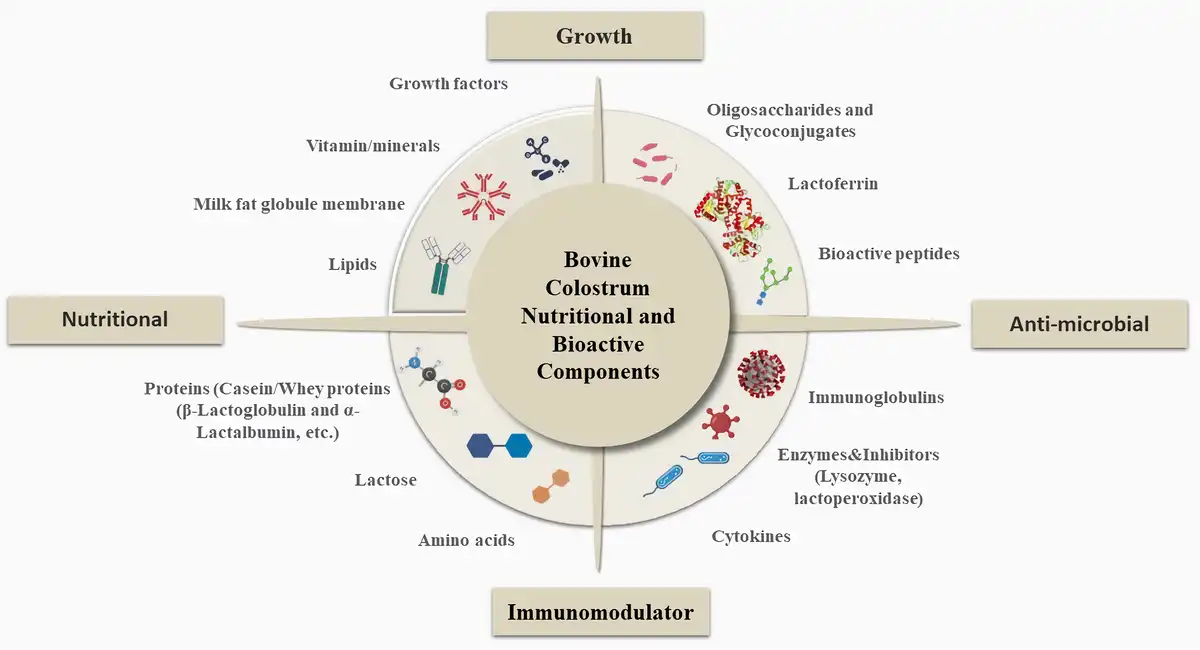 bovine colostrum powder benefits bovine colostrum powder benefits