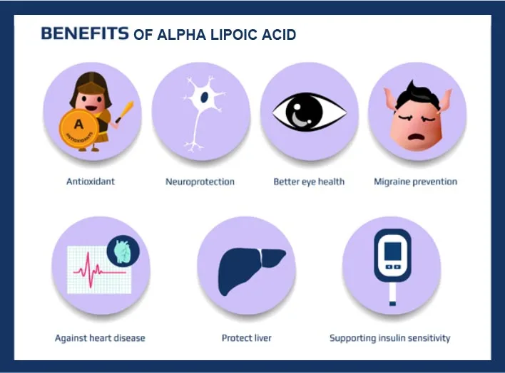Alpha lipoic acid benefits Alpha lipoic acid benefits