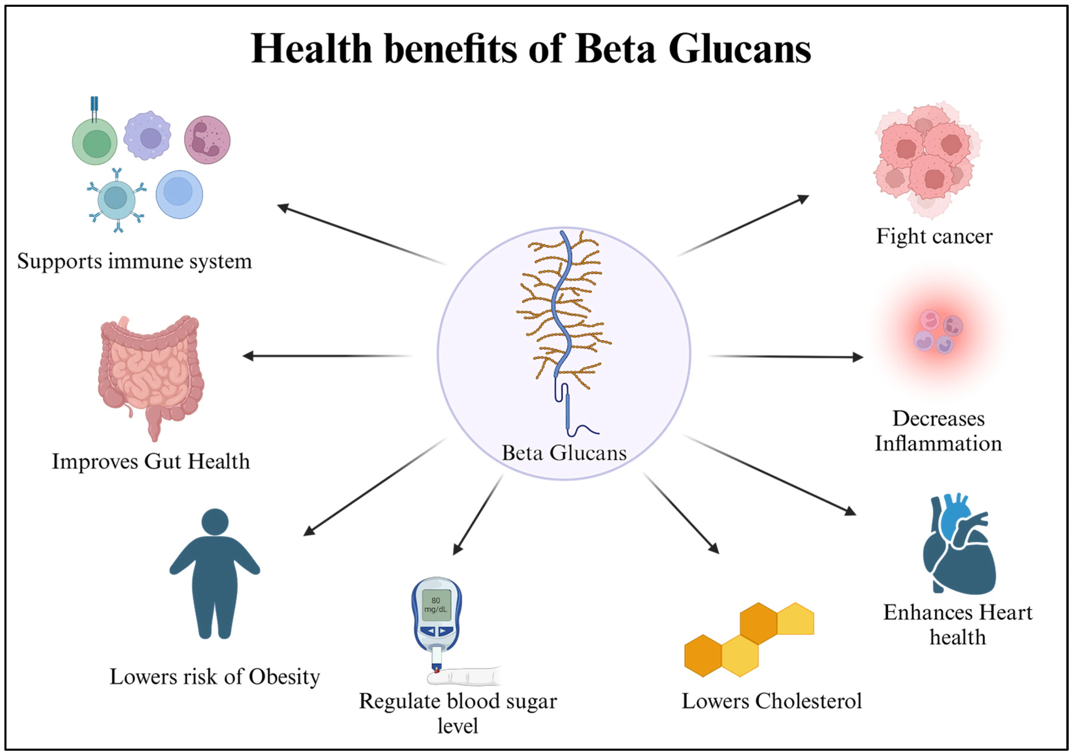 Yeast Beta Glucan Powder benefits