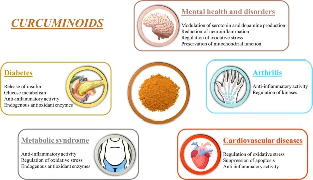 Curcumin benefits Curcumin benefits