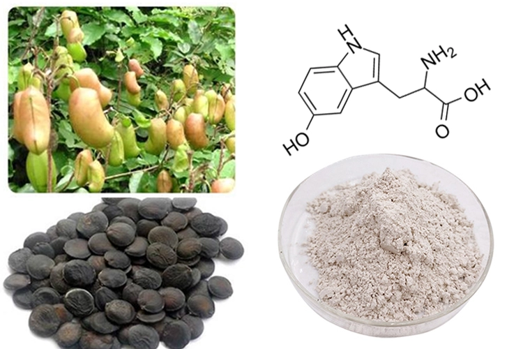 Griffonia Seed Extract Powder Griffonia Seed Extract Powder