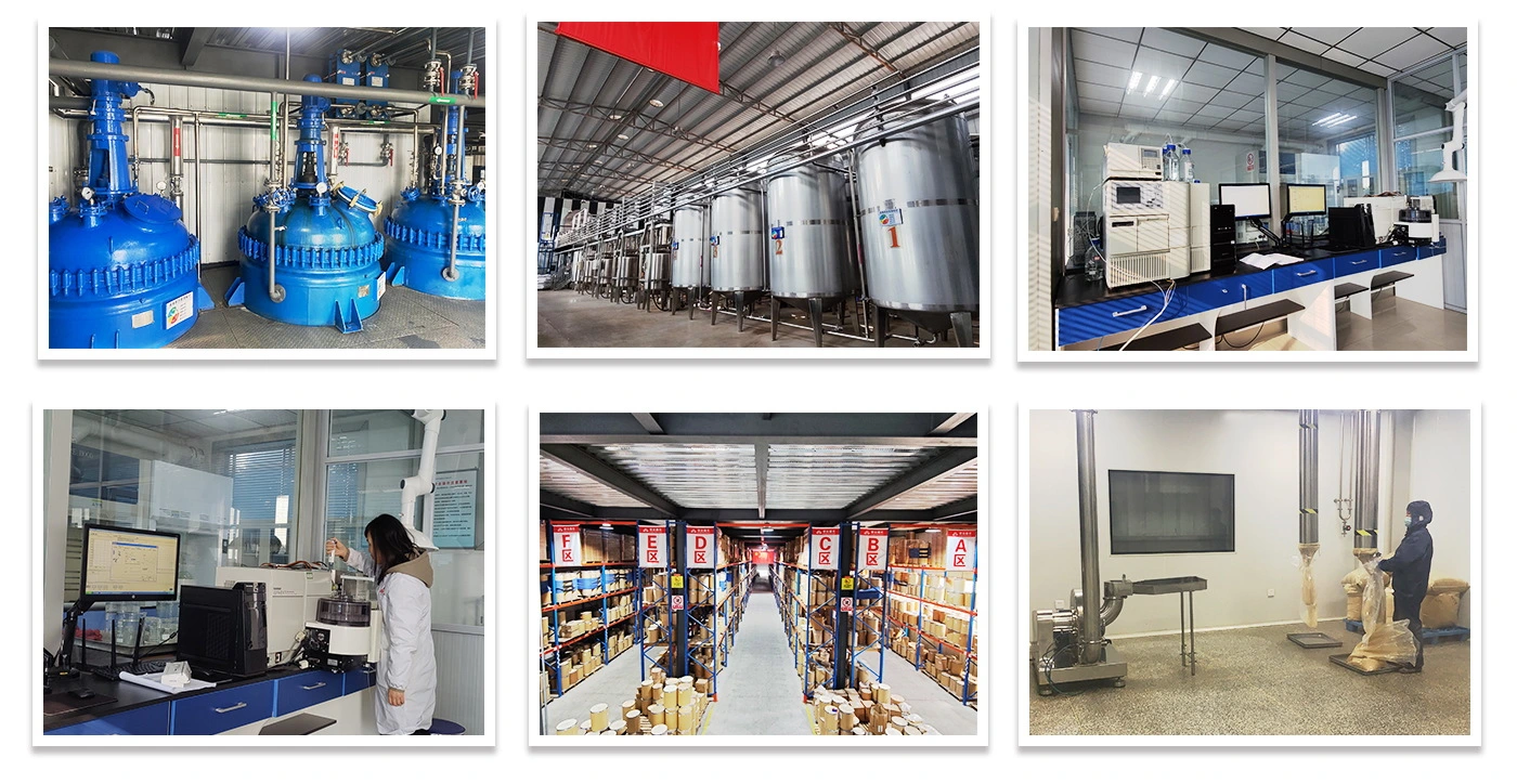 Griffonia Seed Extract Powder Griffonia Seed Extract Powder