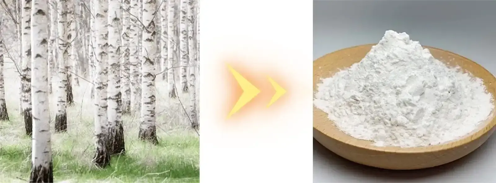 Betulin Extract Powder