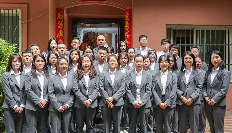 Shaanxi hongda's team