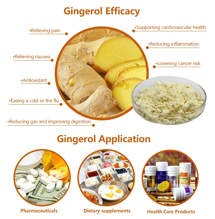 Ginger extract powder benefits 