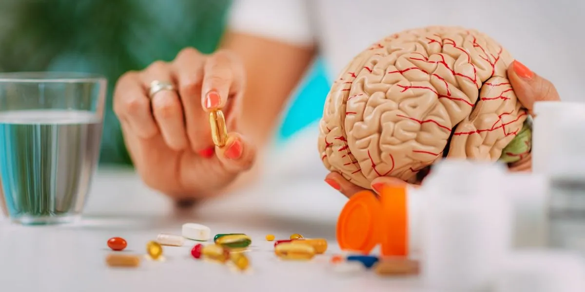 phenibut powder for brain