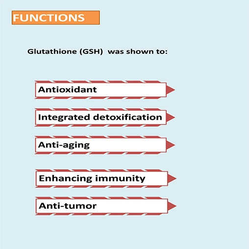 Glutathione uses Glutathione uses