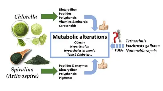 How Organic Chlorella Powder Influences Digestion, Microbiome & Fiber-Rich Nutrients? How Organic Chlorella Powder Influences Digestion, Microbiome & Fiber-Rich Nutrients?