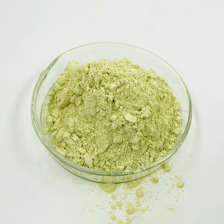 rutin powder