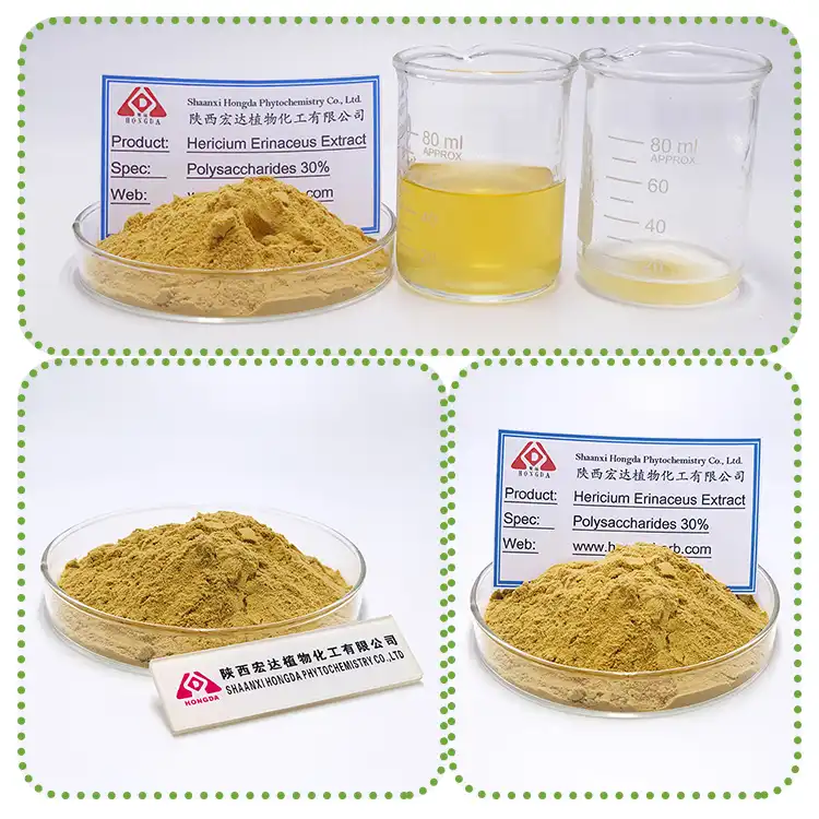 Lion's Mane Mushroom Extract Powder