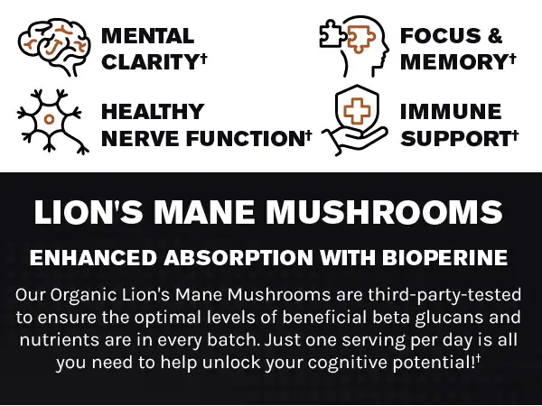 Lion's mushroom extract powder benefits 