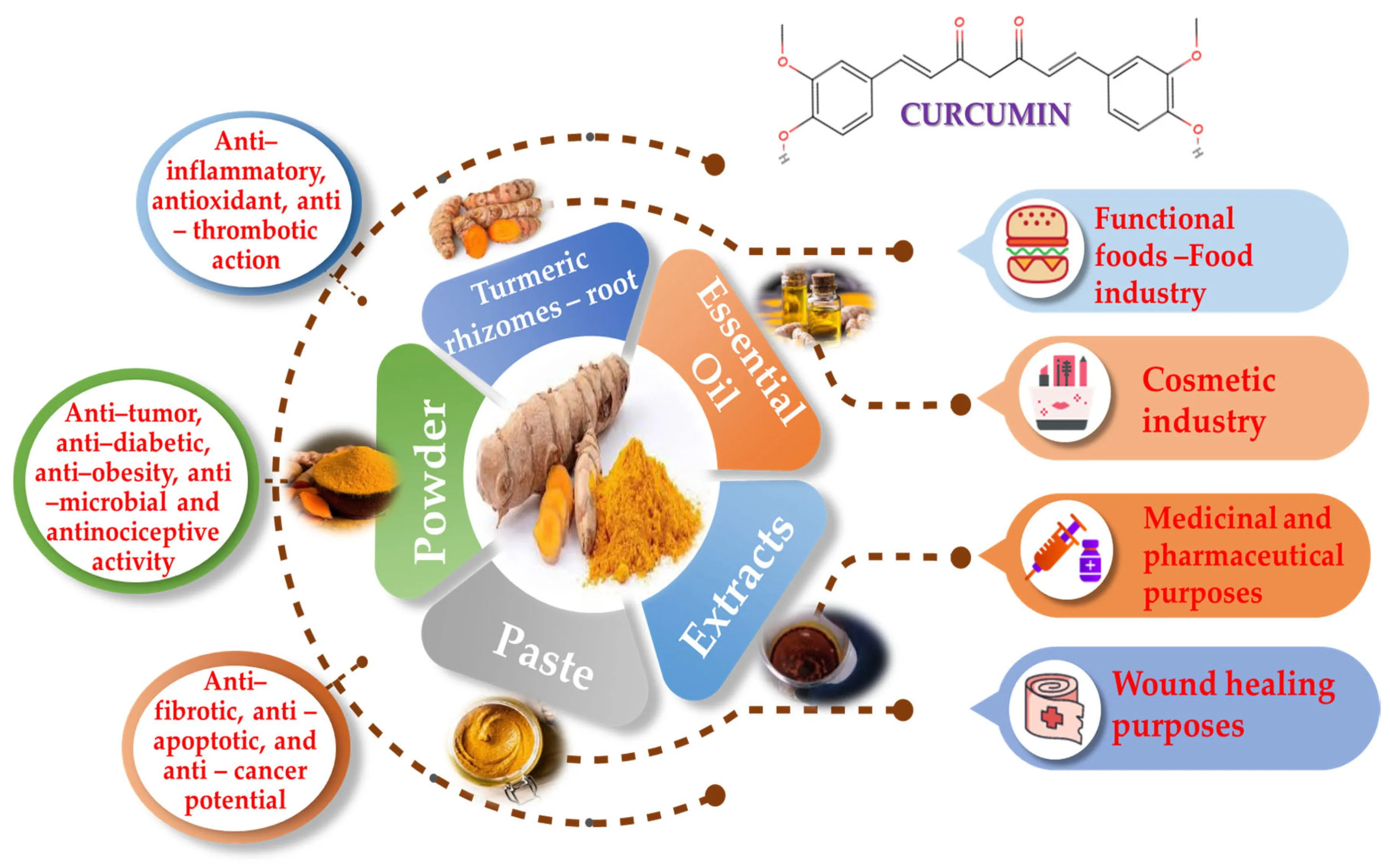 Curcumin Powder Uses