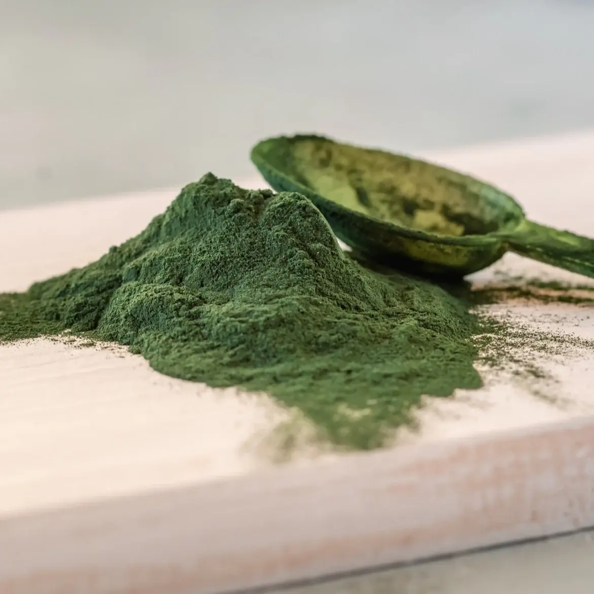 chlorella powder chlorella powder