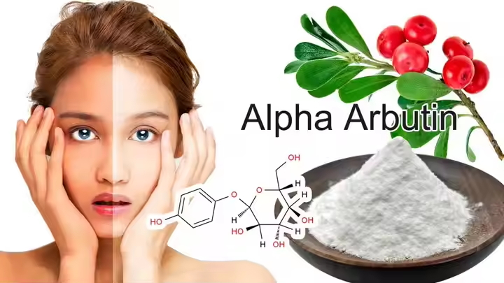 Alpha Arbutin powder