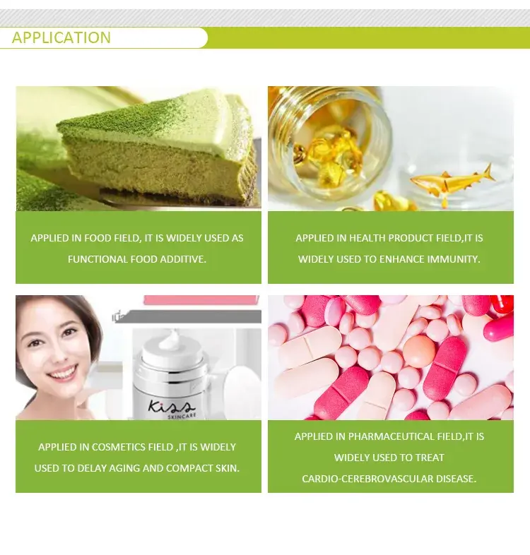 Ginkgo Biloba Powder Uses