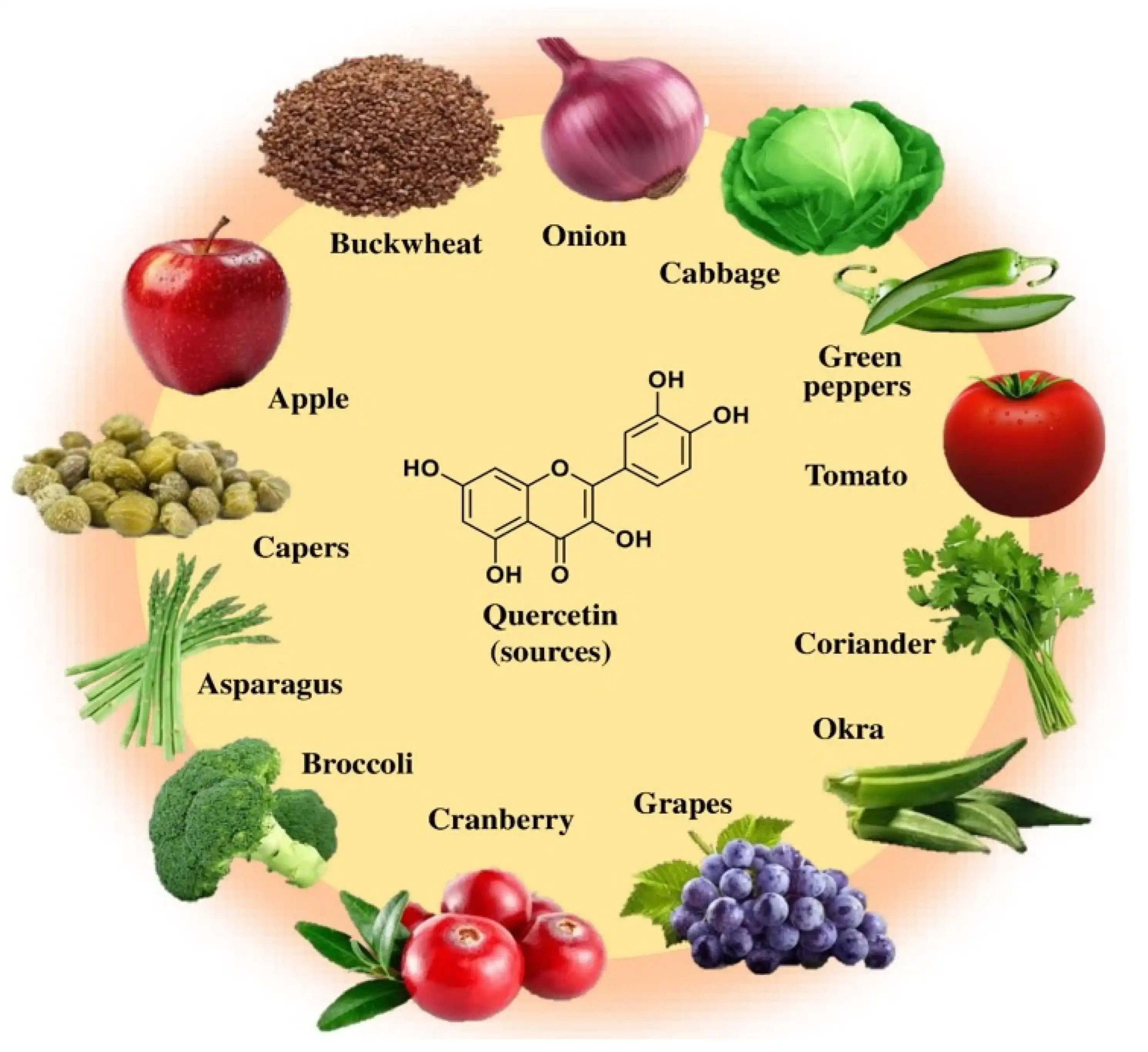 Quercetin rich in Quercetin rich in