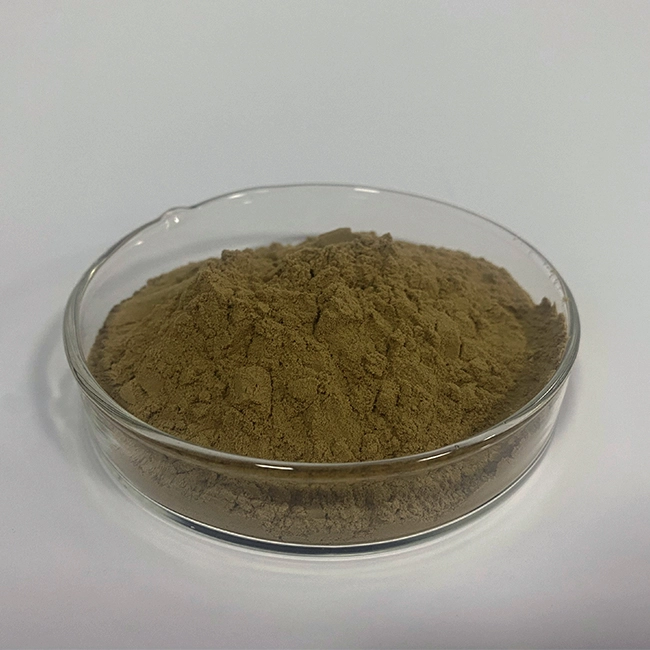 Astragalus Root Extract Astragalus Root Extract