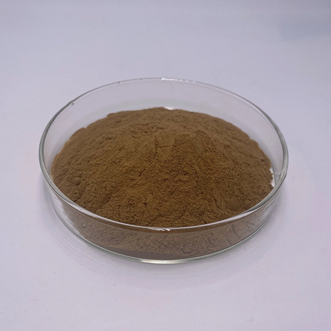 rosehip extract powder