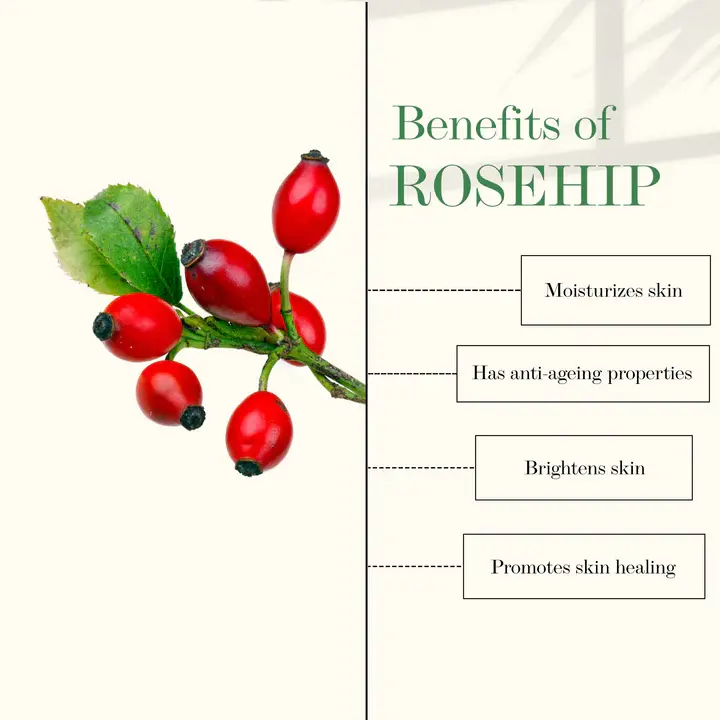 Rosehip Powder benefits 
