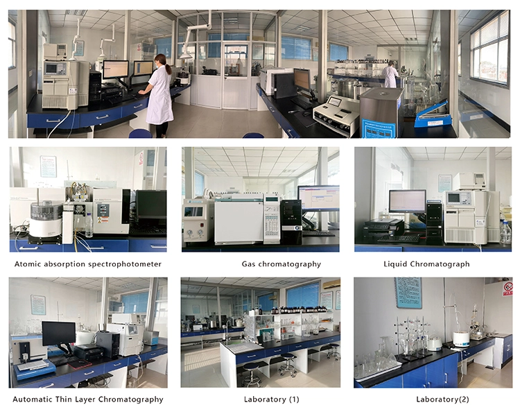 Shaanxi hongda's laboratory