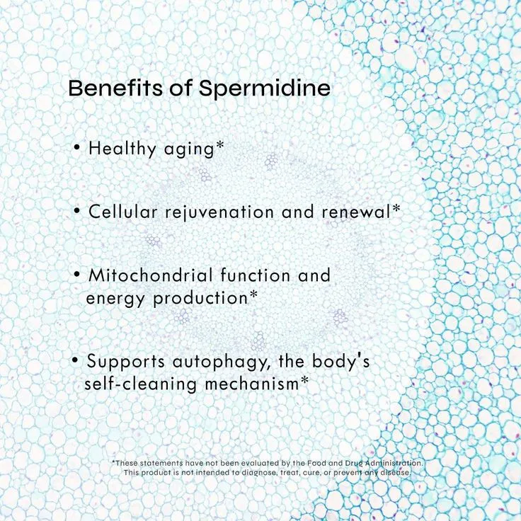 Spermidine Benefits Spermidine Benefits