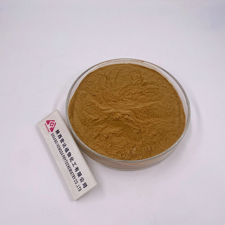chaga mushroom extract powder chaga mushroom extract powder