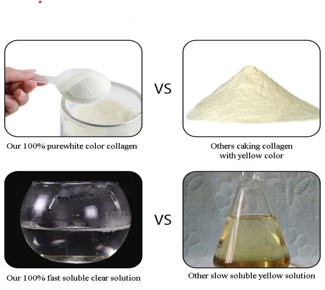 Food Grade Bovine Bone Collagen Peptide Powder 25kg