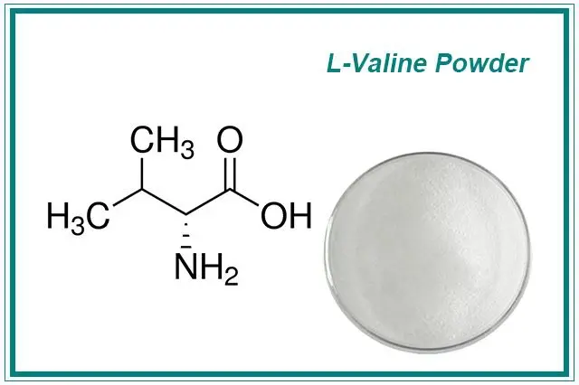 L Valine Amino Acid Powder