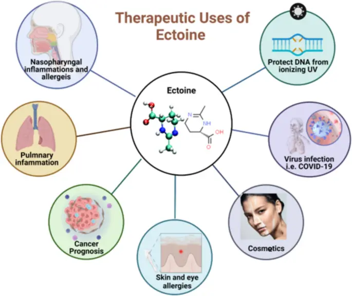 Ectoine benefits Ectoine benefits