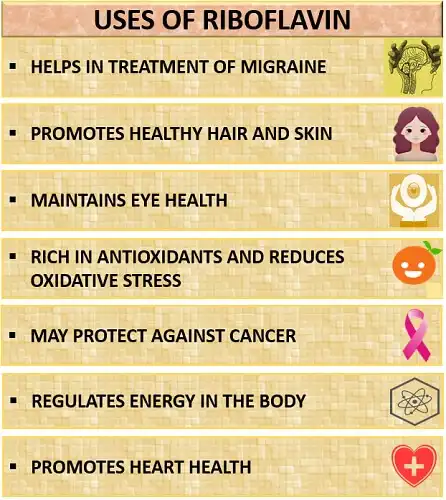 Riboflavin Powder Benefits Riboflavin Powder Benefits