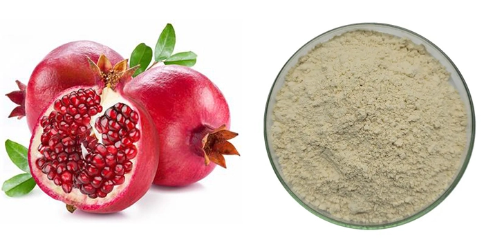 Pomegranate peel extract powder Pomegranate peel extract powder
