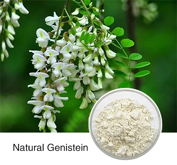 Genistein extract Genistein extract