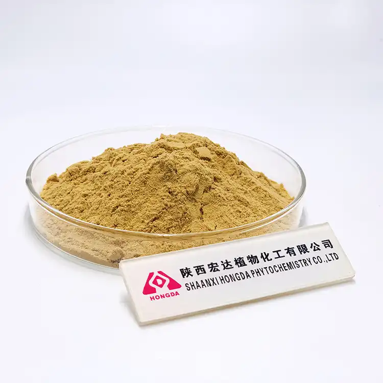 Lion's Mane Mushroom Extract Powder 