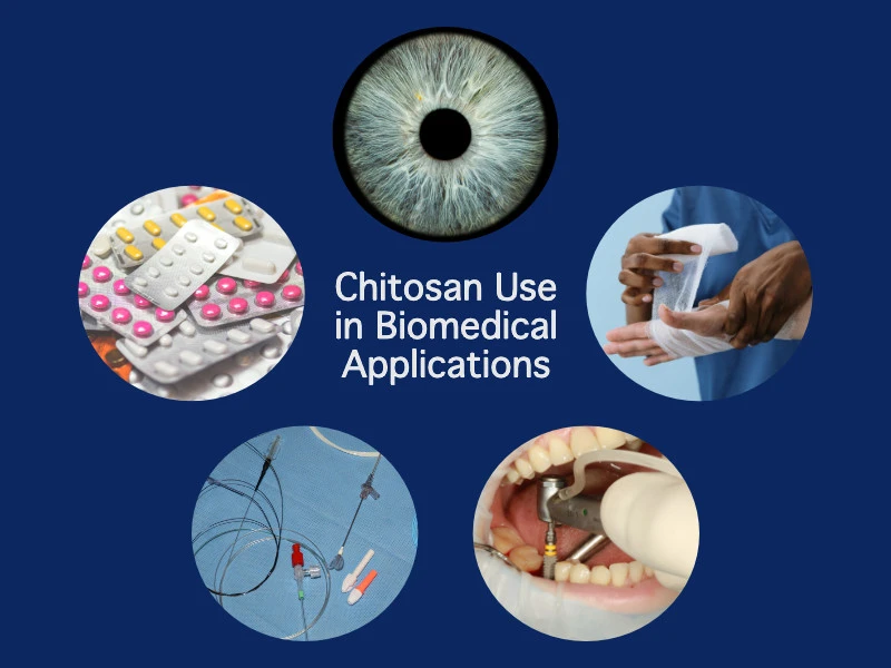 Chitosan Hydrochloride Applications