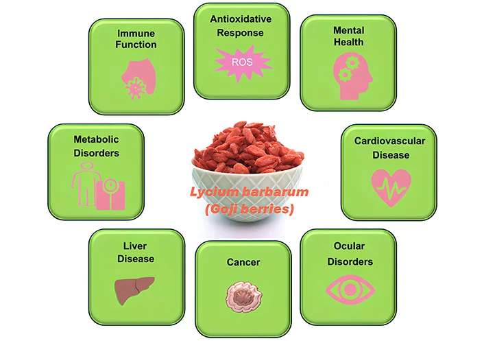 wolfberry powder beneftts wolfberry powder beneftts