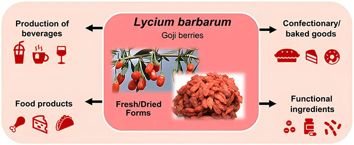 wolfberry powder uses