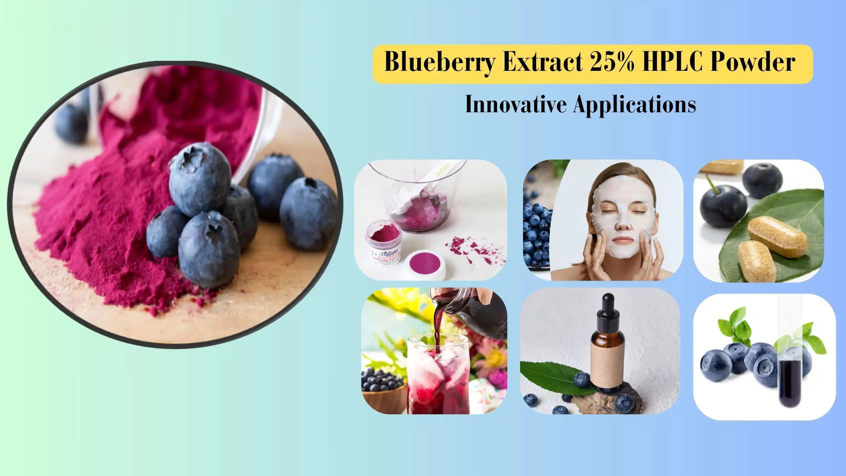 blueberry powder uses